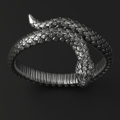 1.1.jpg Fichier STL Modèle d'impression 3D d'une bague de serpent・Modèle pour impression 3D à télécharger