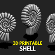 SHELL-3D-PRINT-1.png SHELL 10 - 3D PRINT - AQUARIUM