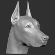 6.jpg Dobermann head for 3D printing