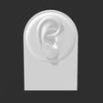 Captura.png STL file soporte earrings / Earring stand・3D printing template to download
