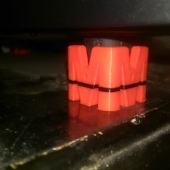 IMAG2460.jpg Бесплатный 3D файл Настольные райзеры・3D-печатная модель для скачивания