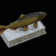 golden-dorado-statue-box-1-19.png fish golden dorado / Salminus brasiliensis with storage space / for 3d printing
