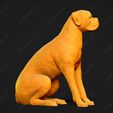 2534-Boxer_Pose_05.jpg Boxer Dog 3D Print Model Pose 05