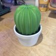 Cactus-Flower-Pot-2.jpeg Cactus in Flower Pot