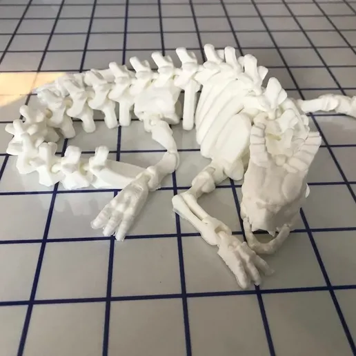 bones of dragon