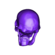 Skull1.stl Detailed Human Skull,  PreSupported