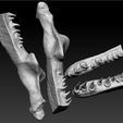 titan-bowa-skull-with-jaw-3d-model-stl-3.jpg Crâne Titan Bowa avec mâchoire