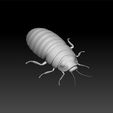 cockroach1.jpg Cockroach