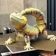 Leopard Gecko Articulated Toy, Print-In-Place Body, Snap-Fit Head, Cute Flexi