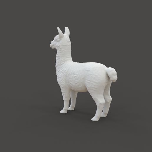 Llama_1.3.jpg Lama Tier