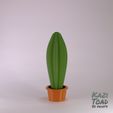single_KaziToad.stl.jpg Mini Cactus set