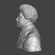 Alexandre-Dumas-3.png 3D Model of Alexandre Dumas - High-Quality STL File for 3D Printing (PERSONAL USE)