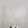 007.jpg Panda cup holder  (No Supports needed)