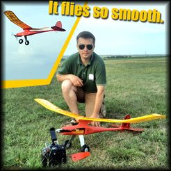 thumbnail3-copy.jpg STL-Datei Einfacher Dragonfly RC Segler・3D-druckbares Modell zum Herunterladen