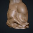 04.jpg Female Torso 3D Model