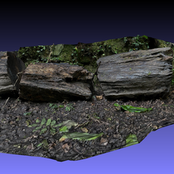 snapshot00.png Rock photogrammetry From Derbyshire
