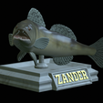 zander-open-mouth-tocenej-3.png fish zander / pikeperch / Sander lucioperca trophy statue detailed texture for 3d printing