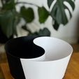 WhatsApp-Image-2026-03-31-at-20.15.46-1.jpeg Yin-Yang Planters Set
