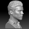 10.jpg Harry Styles bust 3D printing ready stl obj formats