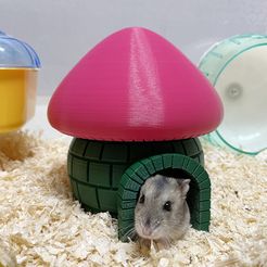 hamsterhouse04.jpg STL file Hamster House, igloo, hamster hideout・3D printing template to download
