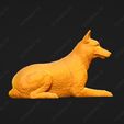 1726-Belgian_Shepherd_Dog_Malinois_Pose_09.jpg Belgian Shepherd Dog Malinois Dog 3D Print Model Pose 09