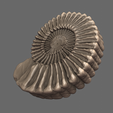 03.png Giant ammonites