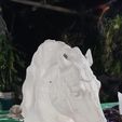 photo_2023-10-28_20-09-48.jpg ROYAL HORSE HEAD MOLD IN PARTS - horse head mold - Marco Aurelius head horse mold