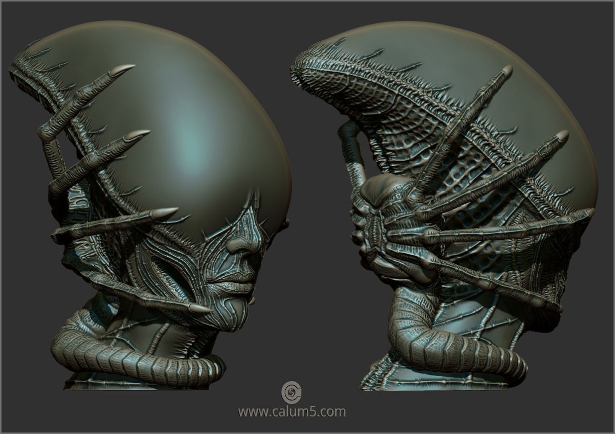 www.calum5.com Archivo STL 2 modelos Giger Alien Style・Objeto para impresora 3D para descargar, calum5dotcom