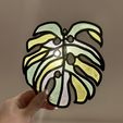 IMG_7088.jpeg Monstera Deliciosa Leaf Suncatcher