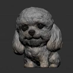 poodle.jpg Fichier STL Jardinière Poodle Dog funko・Plan pour impression 3D à télécharger