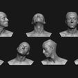 neck-anatomy-reference-set-3d-model-42107e65ca.jpg Neck Anatomy Reference Set