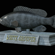 White-grouper-statue-18.png fish white grouper / Epinephelus aeneus statue detailed texture for 3d printing