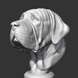 05.png Spanish Mastiff Head AM30 3D print model