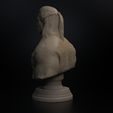 Preview6.png Файл 3D The Witcher Bust・3D модель для печати скачать