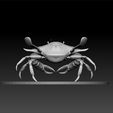 ZBrufvvf.jpg Crab