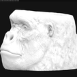 Screenshot from 2020-04-04 18-20-58.png Vase - Ape Head