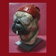 Dog-3.jpg DOG BUST WITH GLASSES