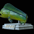 mahi-mahi-model-1-4.png fish mahi mahi / common dolphin trophy statue detailed texture for 3d printing