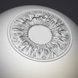 3.jpg Human eye