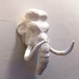 20220828_182118.jpg woolly mammoth head wall mount STL
