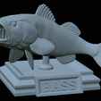 Bass-stocenej-20.png fish bass trophy statue detailed texture for 3d printing