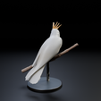 Untitled.blendCamera.007_001.pngCamera.007_001.png White Cockatoo