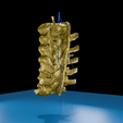 0004.png 逼真的胸椎与肋骨 3D 可打印解剖模型