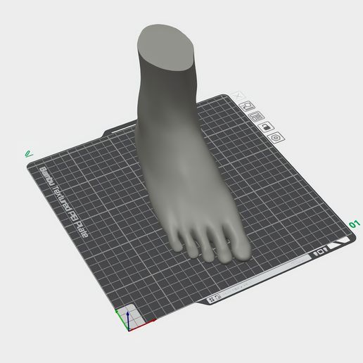 Human Foot — Realistic Anatomical 3D Print Model 3D model