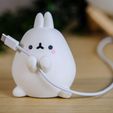 DSCF2936.jpg STL file Bunny Cable Holder・3D printable model to download