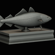 coalfish-statue-box-1-36.png fish coalfish / Pollachius virens with storage space / for 3d printing