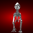 veloceraptor-Skeleton-render.png Veloceraptor