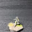 IMG_20241030_165953.jpg Seren american Proto