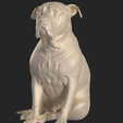 tbrender_Viewport_002.png Pit Bull dog