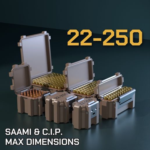 SBOX AMMO BOX 22-250 REM AMMUNITION STORAGE 10/20/25/50/100 ROUNDS CRATE ORGANIZER 22-250rem